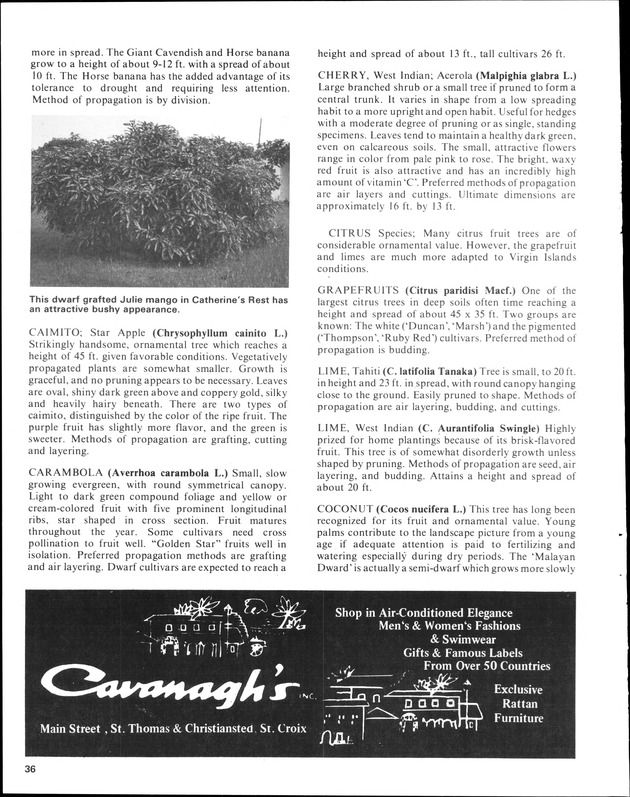 Annual Agriculture and Food Fair of the Virgin Islands - Page 36