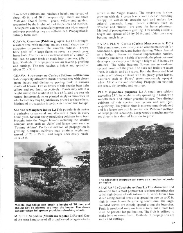 Annual Agriculture and Food Fair of the Virgin Islands - Page 37