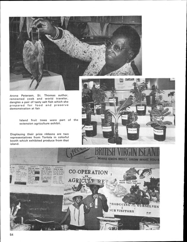 Annual Agriculture and Food Fair of the Virgin Islands - Page 54