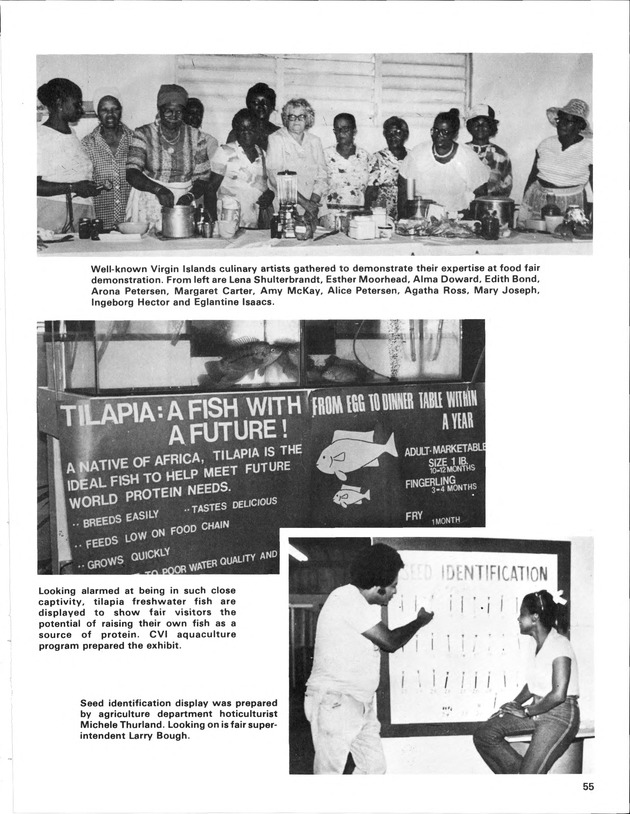 Annual Agriculture and Food Fair of the Virgin Islands - Page 55