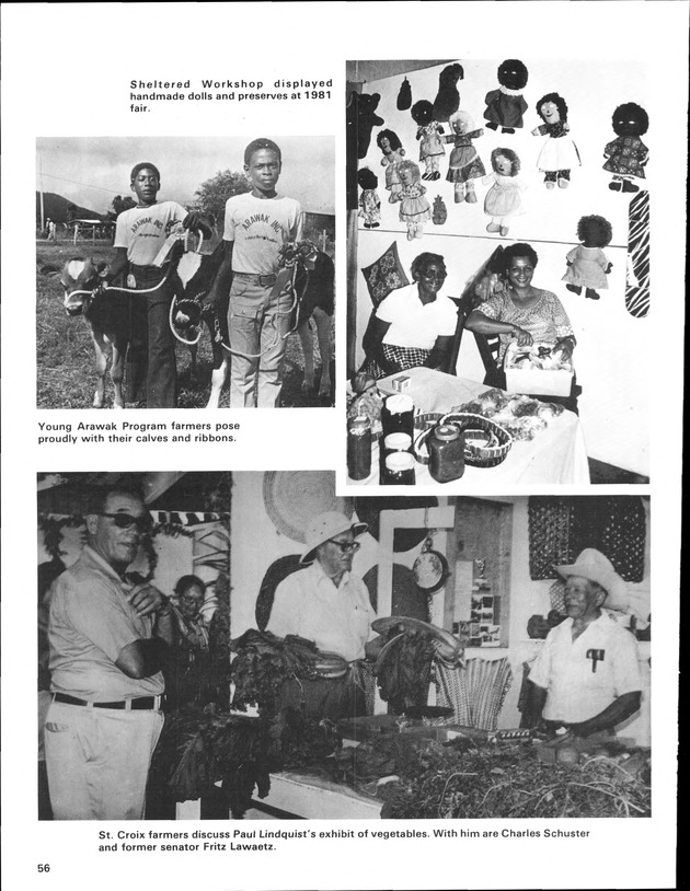 Annual Agriculture and Food Fair of the Virgin Islands - Page 56