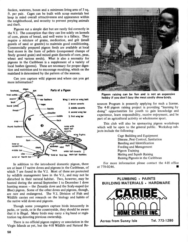 Annual Agriculture and Food Fair of the Virgin Islands - Page 58