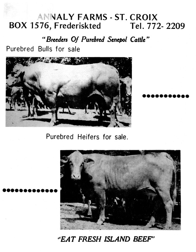 Annual Agriculture and Food Fair of the Virgin Islands - Page 93