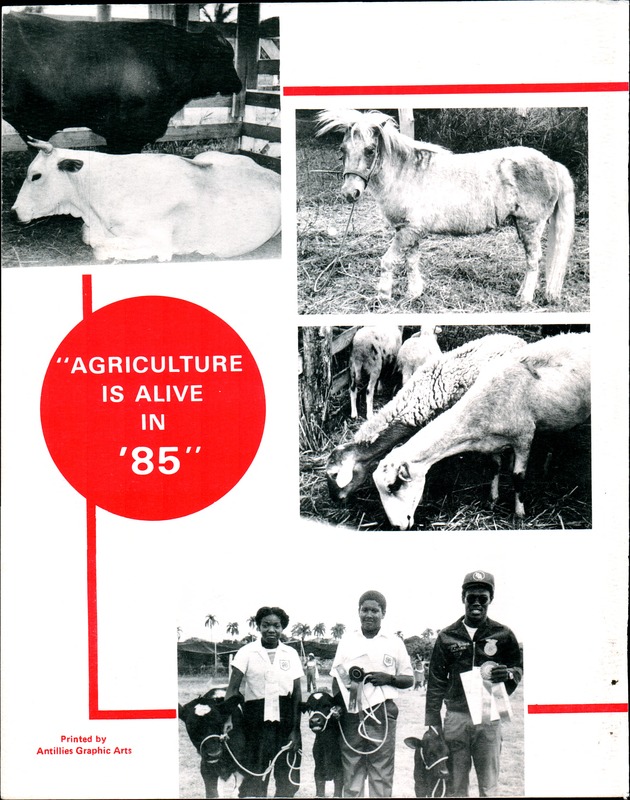 Annual Agriculture and Food Fair of the Virgin Islands - Page 94