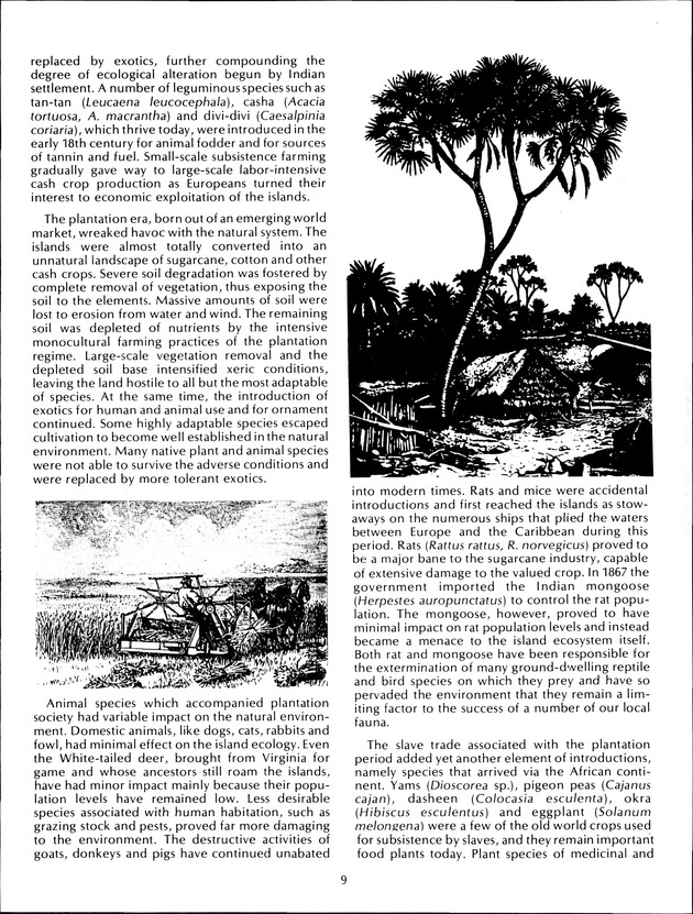 Virgin Islands Agriculture and Food Fair 1992 - Page 9