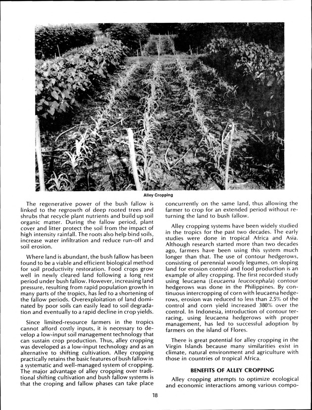 Virgin Islands Agriculture and Food Fair 1992 - Page 18