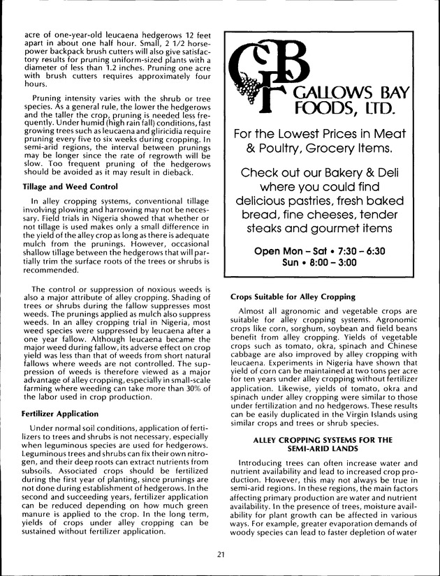 Virgin Islands Agriculture and Food Fair 1992 - Page 21