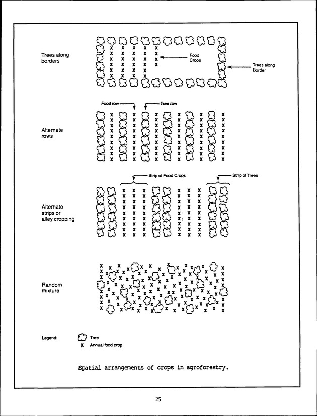 Virgin Islands Agriculture and Food Fair 1992 - Page 25