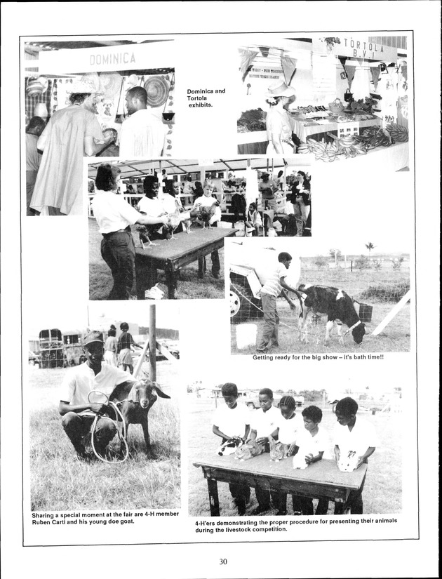 Virgin Islands Agriculture and Food Fair 1992 - Page 30