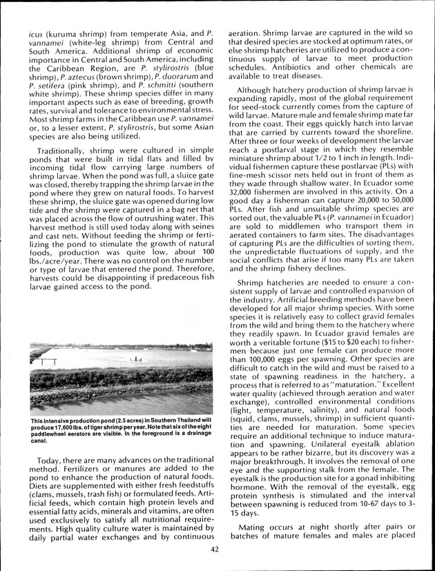 Virgin Islands Agriculture and Food Fair 1992 - Page 42