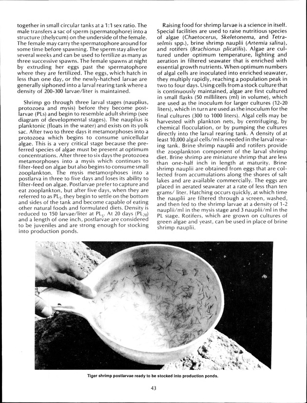 Virgin Islands Agriculture and Food Fair 1992 - Page 43