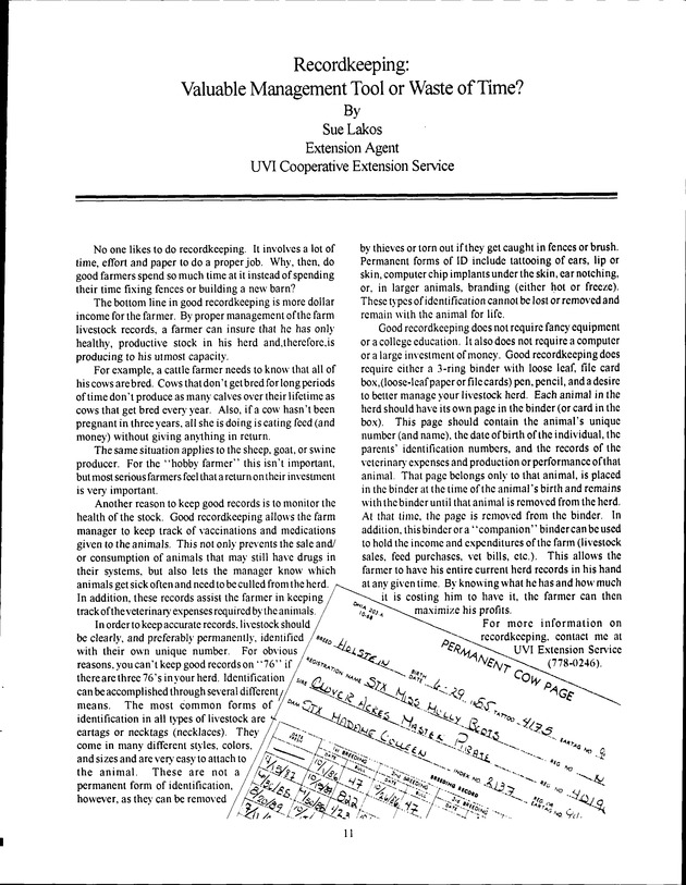 Virgin Islands Agriculture and Food Fair 1993 - Page 11