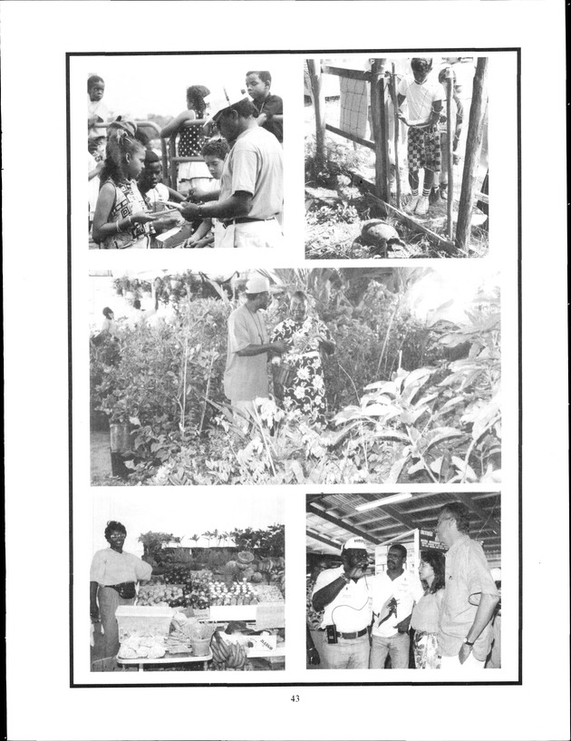 Virgin Islands Agriculture and Food Fair 1993 - Page 43