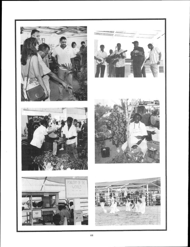 Virgin Islands Agriculture and Food Fair 1993 - Page 44