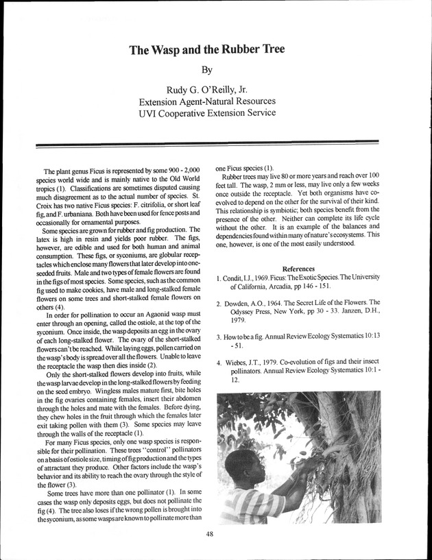 Virgin Islands Agriculture and Food Fair 1993 - Page 48