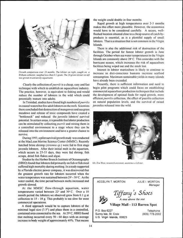 Virgin Islands Agriculture and Food Fair 1994 - Page 14