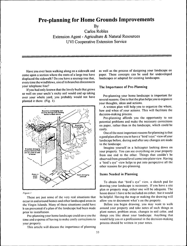 Virgin Islands Agriculture and Food Fair 1994 - Page 33