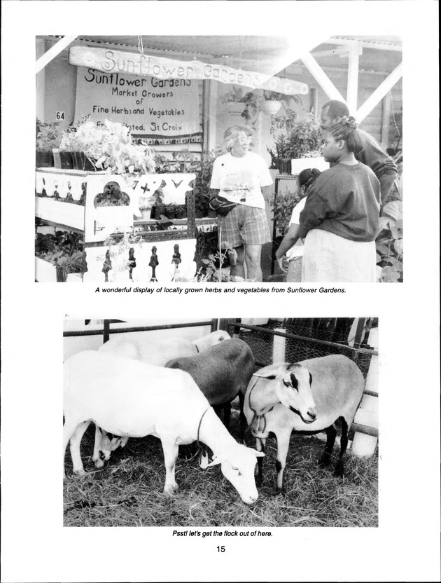 Virgin Islands Agriculture and Food Fair 1998 - Page 15