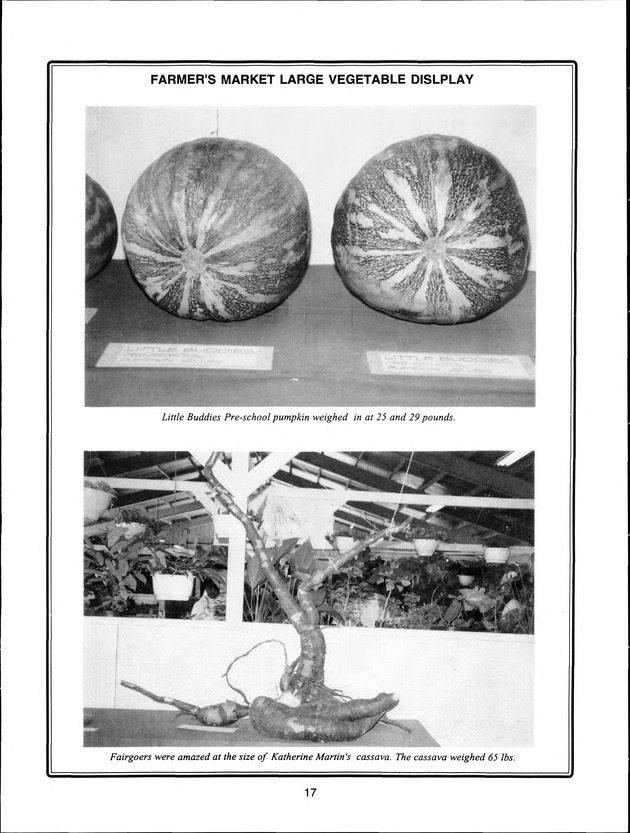 Virgin Islands Agriculture and Food Fair 1998 - Page 17