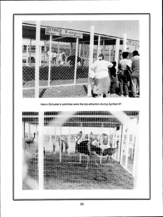 Virgin Islands Agriculture and Food Fair 1998 - Page 20