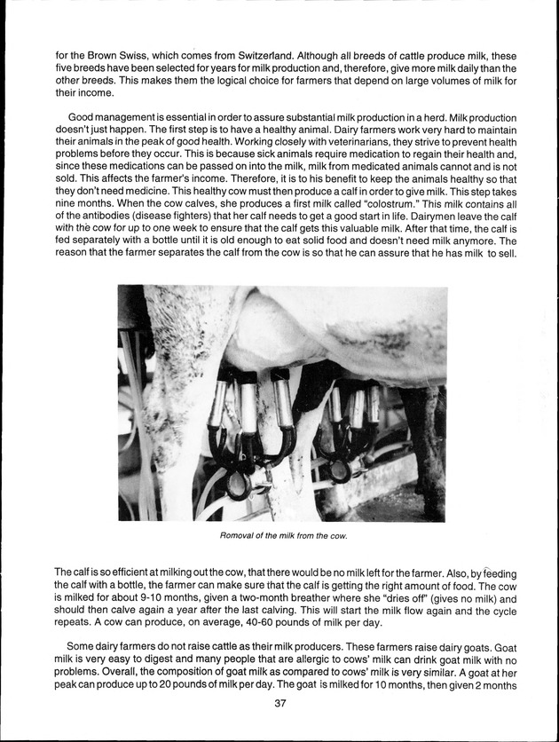 Virgin Islands Agriculture and Food Fair 1998 - Page 37