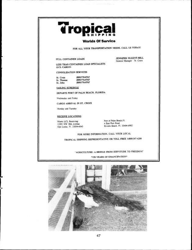 Virgin Islands Agriculture and Food Fair 1998 - Page 47