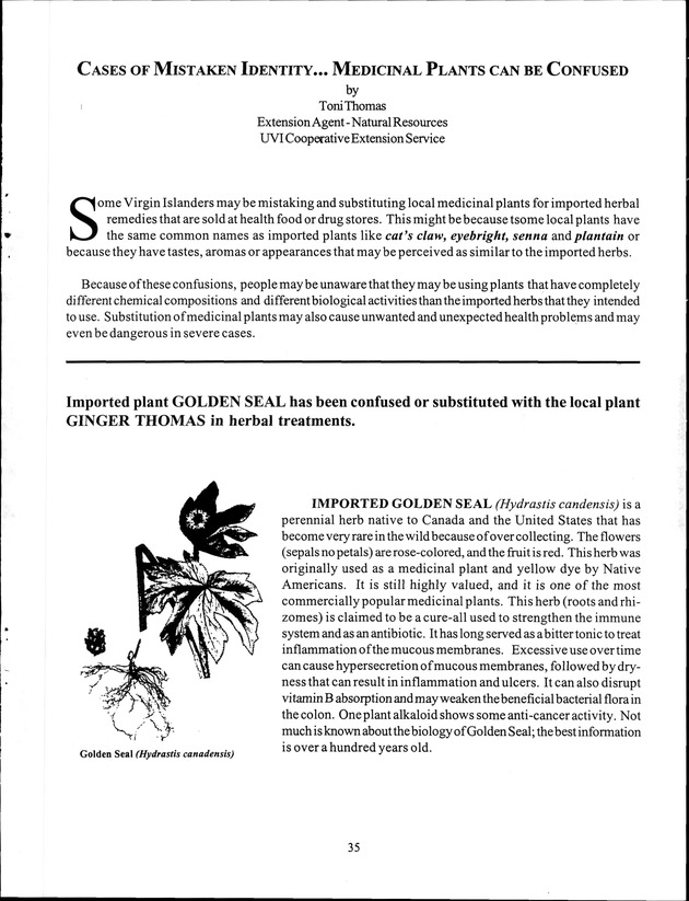 Virgin Islands Agriculture and Food Fair 1999 - Page 35