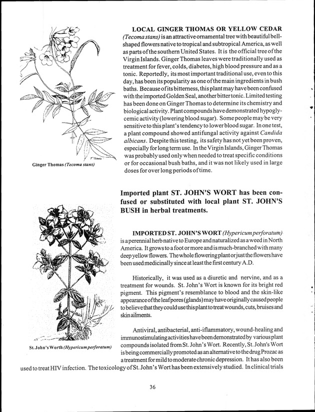 Virgin Islands Agriculture and Food Fair 1999 - Page 36