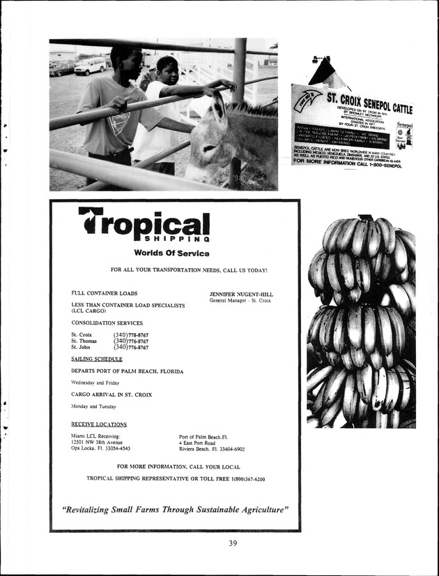 Virgin Islands Agriculture and Food Fair 1999 - Page 39