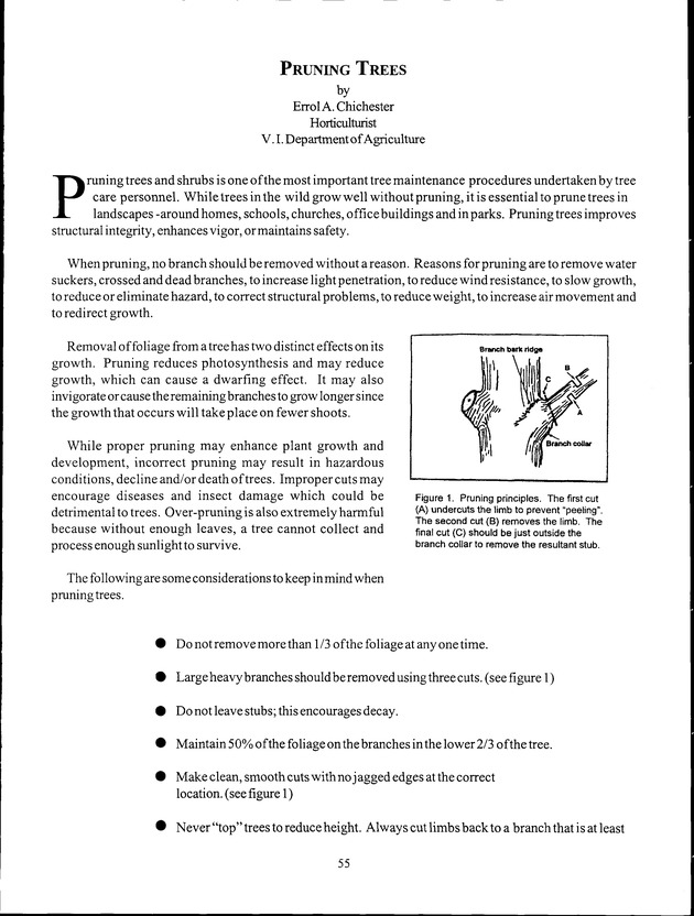 Virgin Islands Agriculture and Food Fair 1999 - Page 55