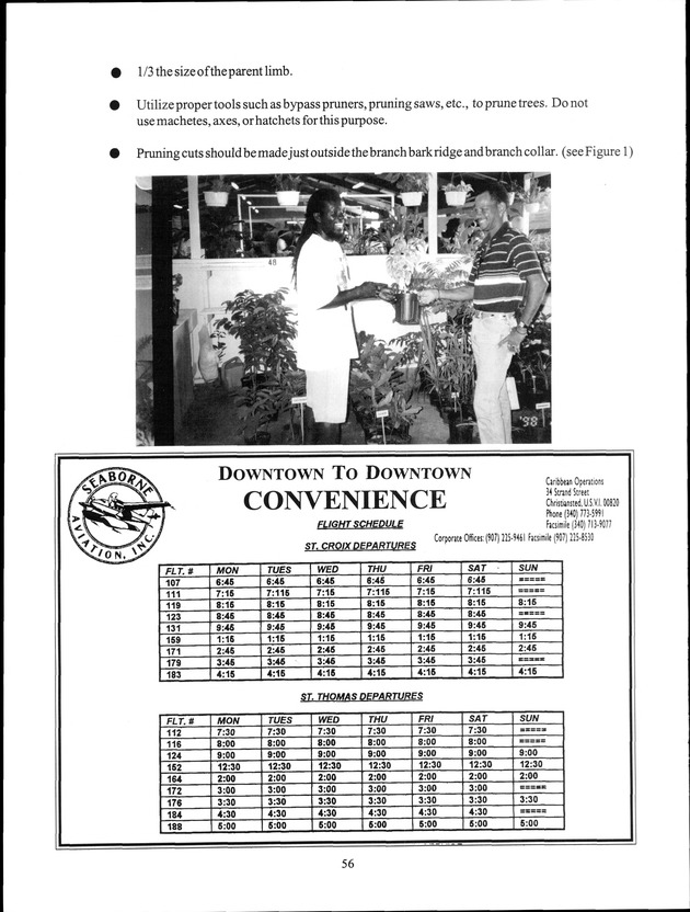 Virgin Islands Agriculture and Food Fair 1999 - Page 56