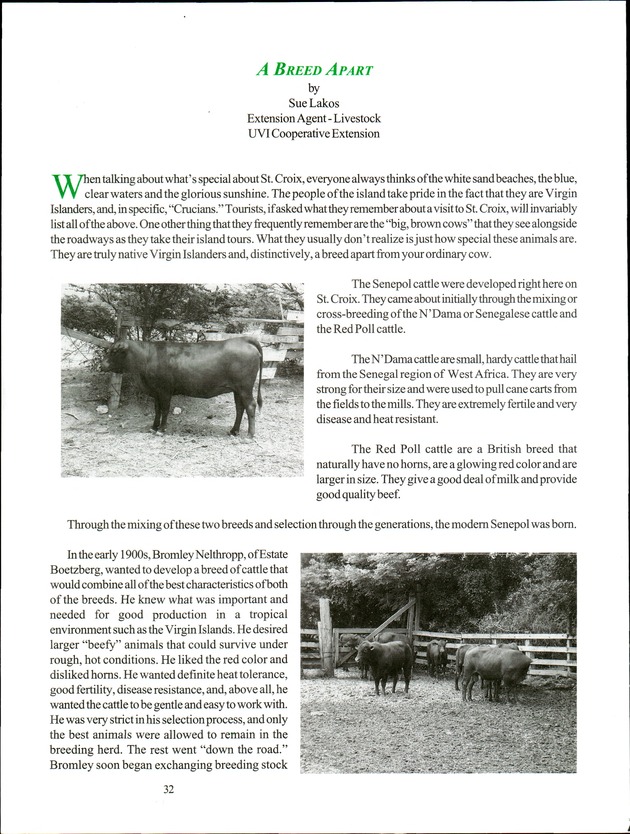 Virgin Islands Agriculture and Food Fair 2000 - Page 32