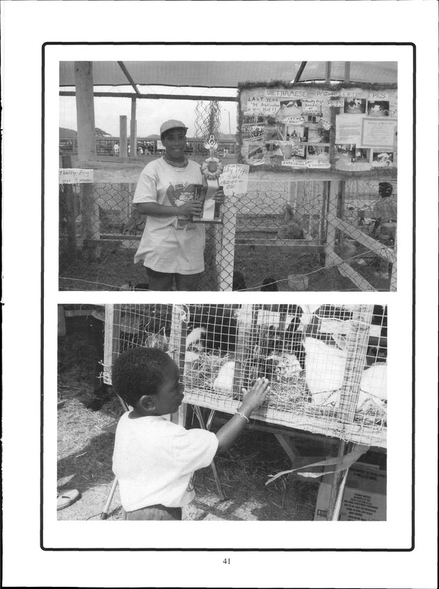 Virgin Islands Agriculture and Food Fair 2001 - Page 41