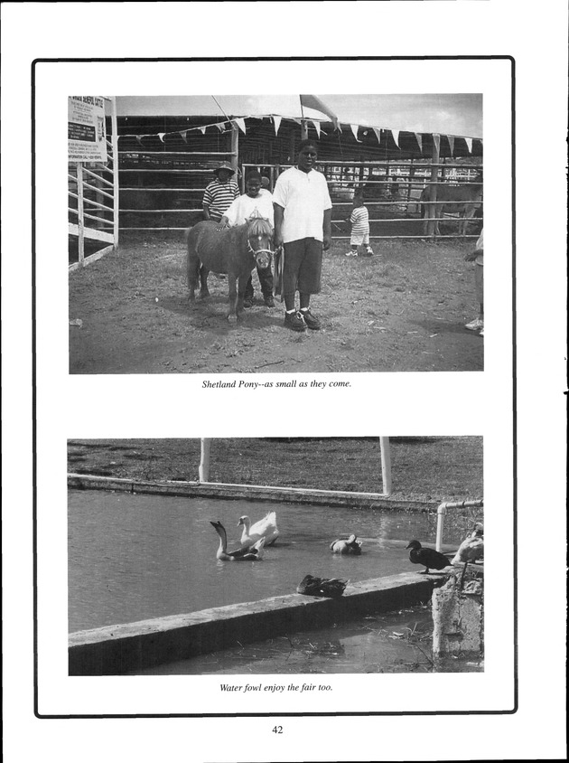 Virgin Islands Agriculture and Food Fair 2001 - Page 42