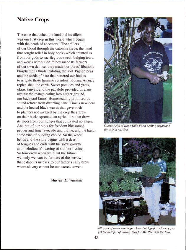 Virgin Islands Agriculture and Food Fair 2001 - Page 45