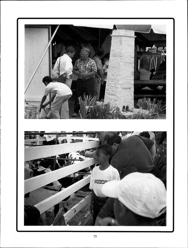 Virgin Islands Agriculture and Food Fair 2001 - Page 75