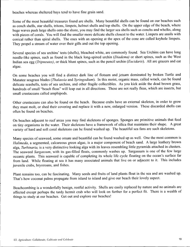 Virgin Islands Agriculture and Food Fair 2003 - Page 19