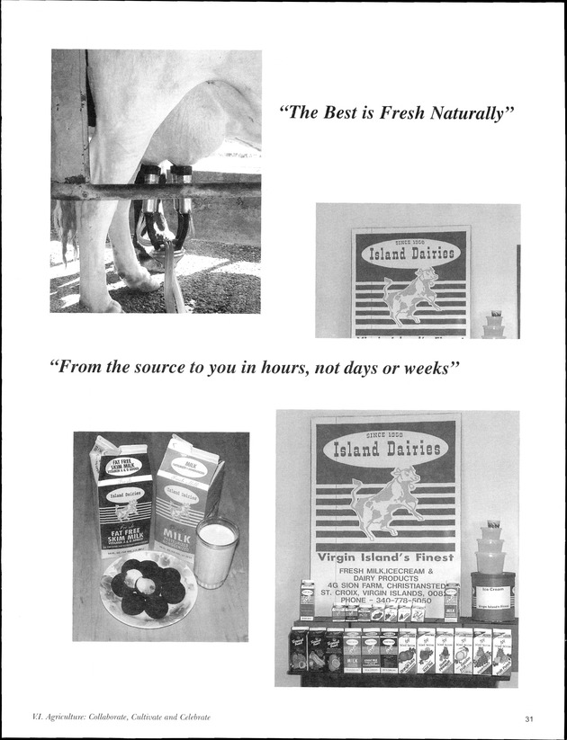 Virgin Islands Agriculture and Food Fair 2003 - Page 31