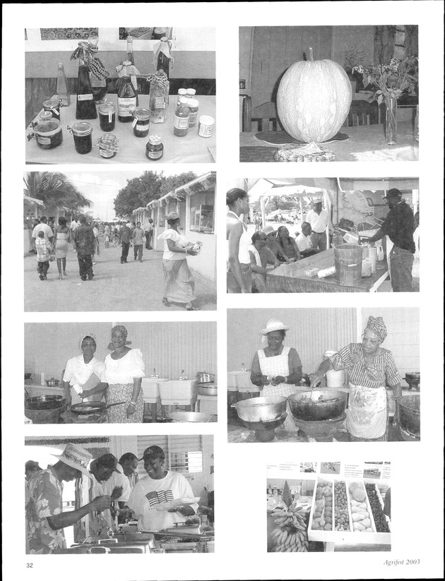 Virgin Islands Agriculture and Food Fair 2003 - Page 32