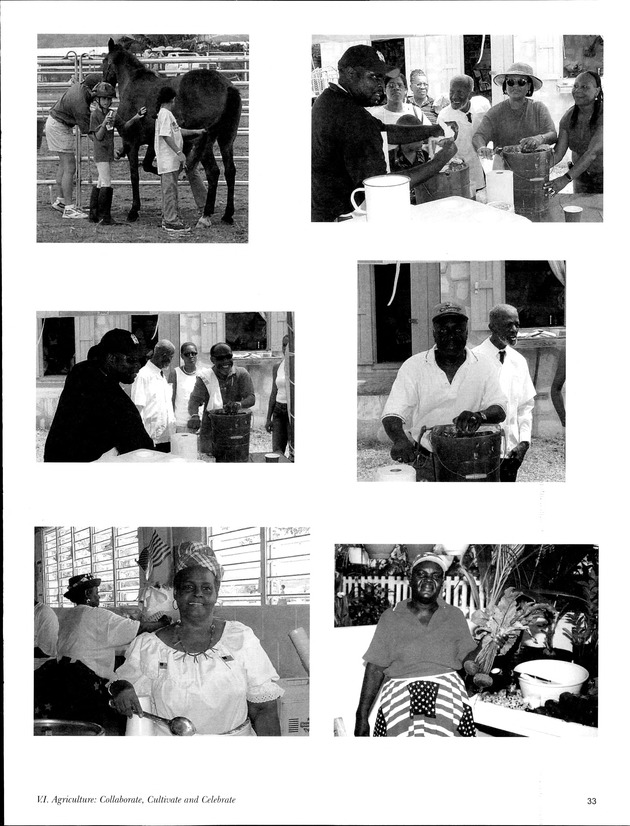 Virgin Islands Agriculture and Food Fair 2003 - Page 33