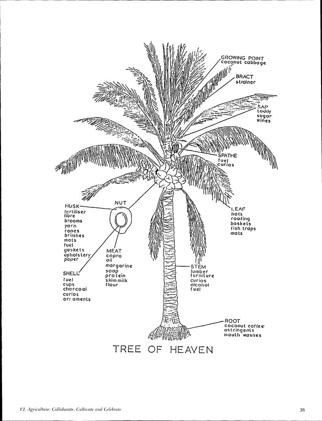 Virgin Islands Agriculture and Food Fair 2003 - Page 35